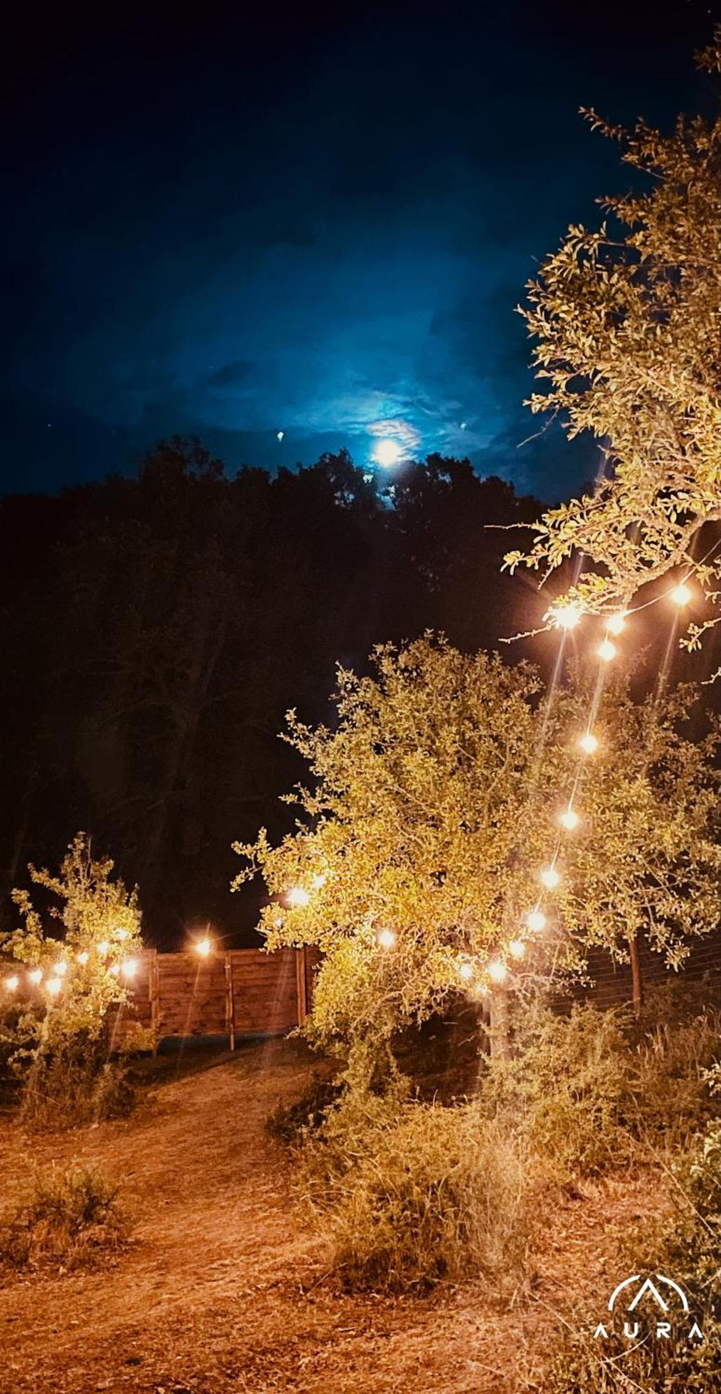Aura - Glamping Experience Otel Accettura Dış mekan fotoğraf