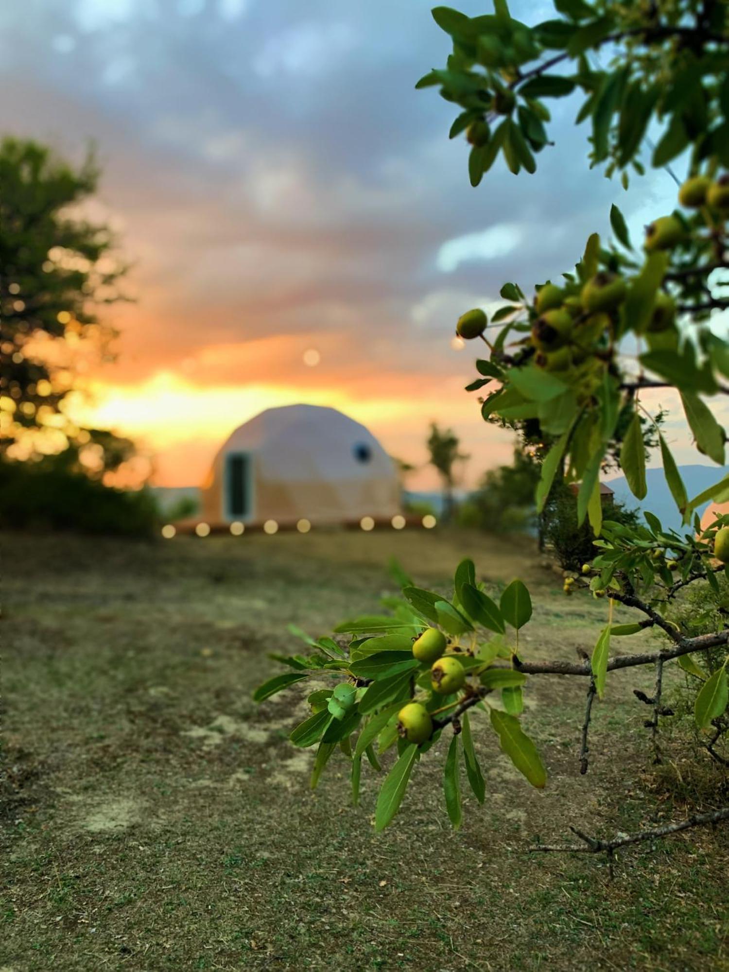 Aura - Glamping Experience Otel Accettura Dış mekan fotoğraf
