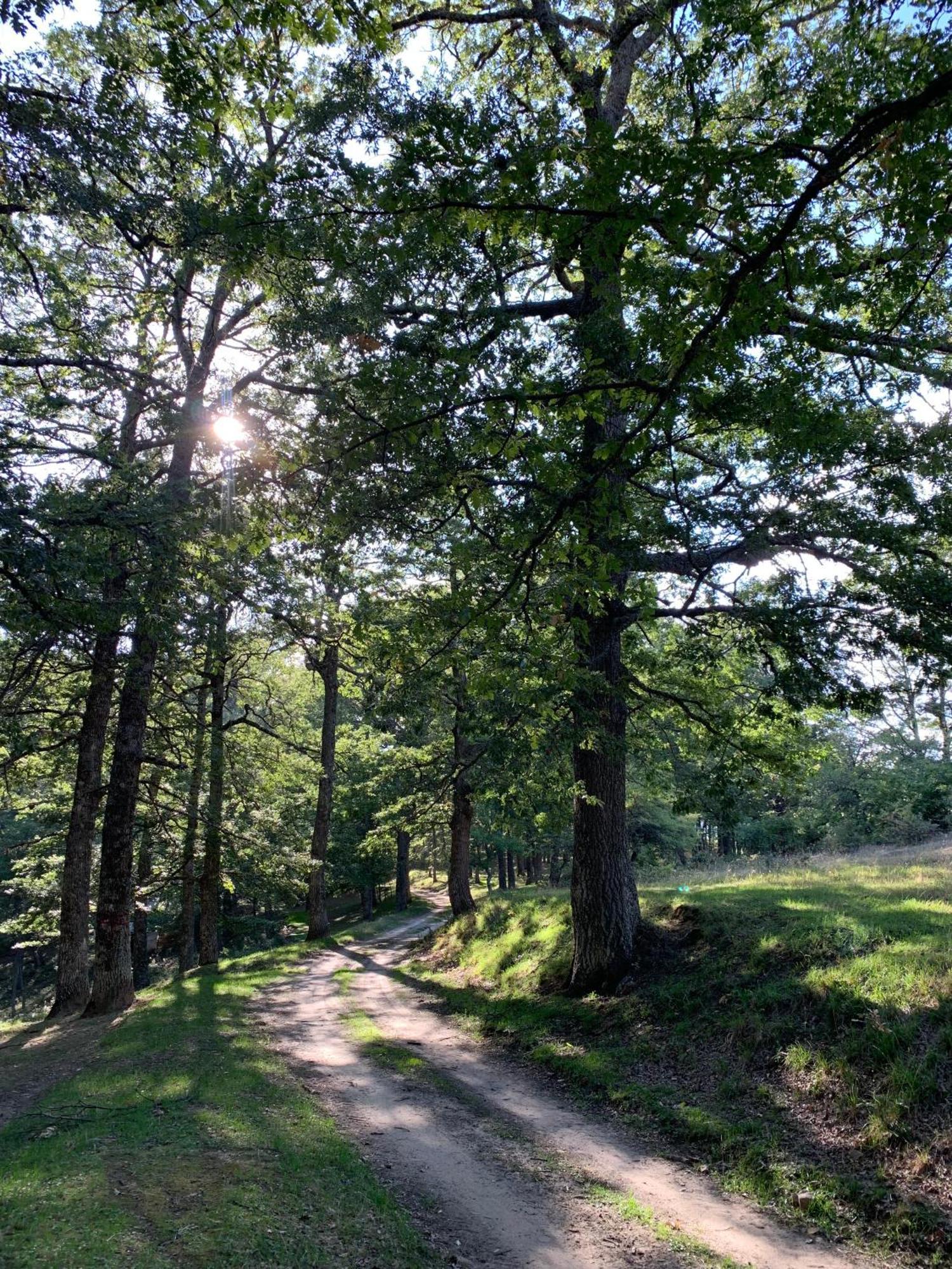 Aura - Glamping Experience Otel Accettura Dış mekan fotoğraf